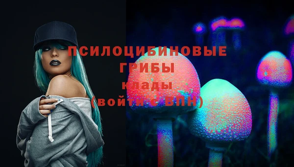 MESCALINE Аркадак