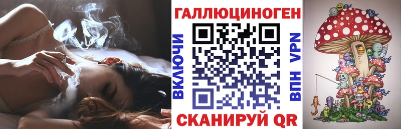 omg ссылки Бирюч Псилоцибиновые грибы MAGIC MUSHROOMS
